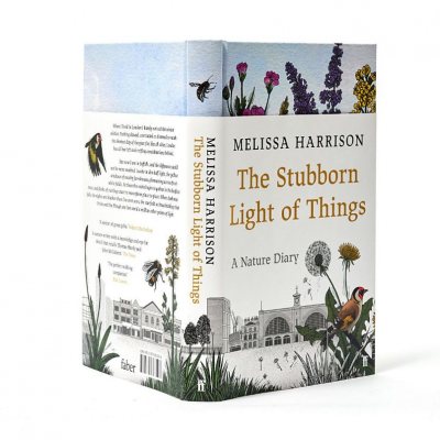 The Stubborn Light of Things: A Nature Diary (Hardback)