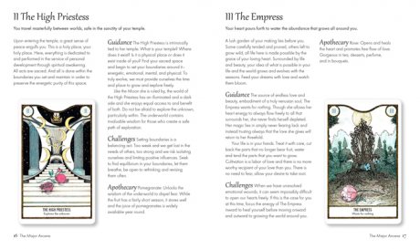 Elemental Power Tarot: Includes a Full Deck of 78 Cards and a 64-Page Illustrated Book