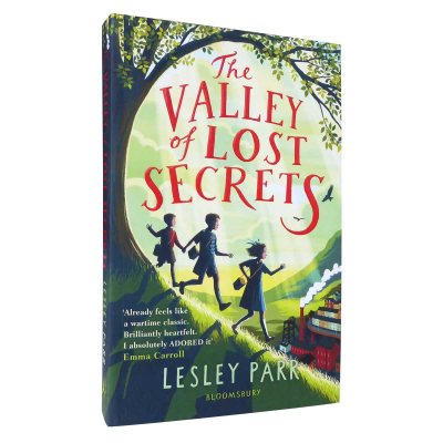 The Valley of Lost Secrets (Paperback)