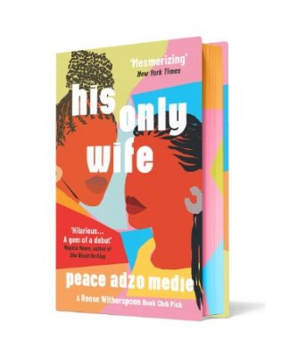 his only wife book summary