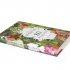 Around the World in 80 Plants (Hardback)