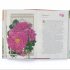 Around the World in 80 Plants (Hardback)