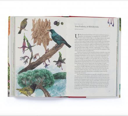 Around the World in 80 Plants (Hardback)