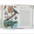 Around the World in 80 Plants (Hardback)