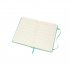 Ice Green Large Weekly Hardcover 18 Month Diary 2021-2022 (Diary)