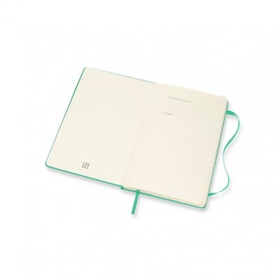 Ice Green Large Weekly Hardcover 18 Month Diary 2021-2022 (Diary)