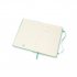 Ice Green Large Weekly Hardcover 18 Month Diary 2021-2022 (Diary)