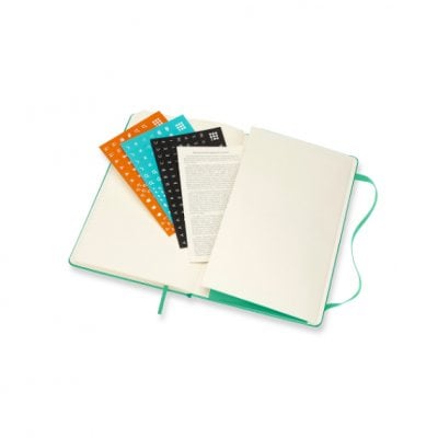 Ice Green Large Weekly Hardcover 18 Month Diary 2021-2022 (Diary)