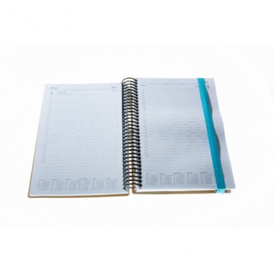Delta A5 DTP Diary 2021-2022 (Diary)