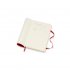 Scarlett Pocket Weekly Softcover 18 Month Diary 2021-2022 (Diary)