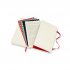 Scarlett Pocket Weekly Softcover 18 Month Diary 2021-2022 (Diary)