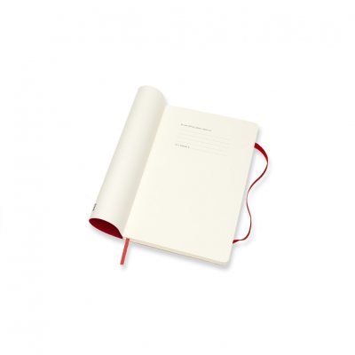 Scarlett Large Weekly Softcover 18 Month Diary 2021-2022 (Diary)