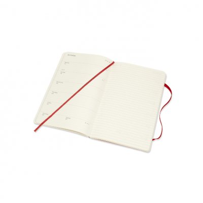 Scarlett Large Weekly Softcover 18 Month Diary 2021-2022 (Diary)