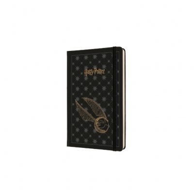 Harry Potter Large Weekly 18 Month Diary 2021-2022 (Diary)