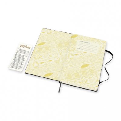 Harry Potter Large Weekly 18 Month Diary 2021-2022 (Diary)