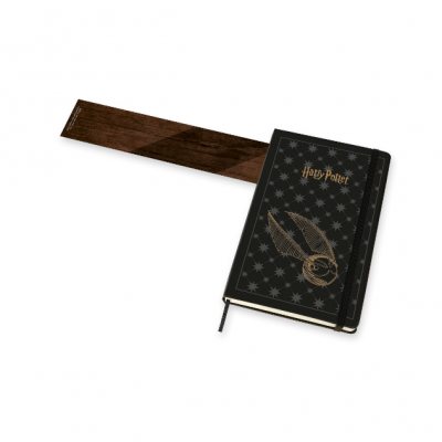 Harry Potter Large Weekly 18 Month Diary 2021-2022 (Diary)