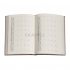 18M Midi Flexi Aurelia Diary 2021-2022 (Diary)