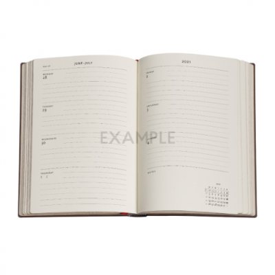 18M Midi Flexi Aurelia Diary 2021-2022 (Diary)