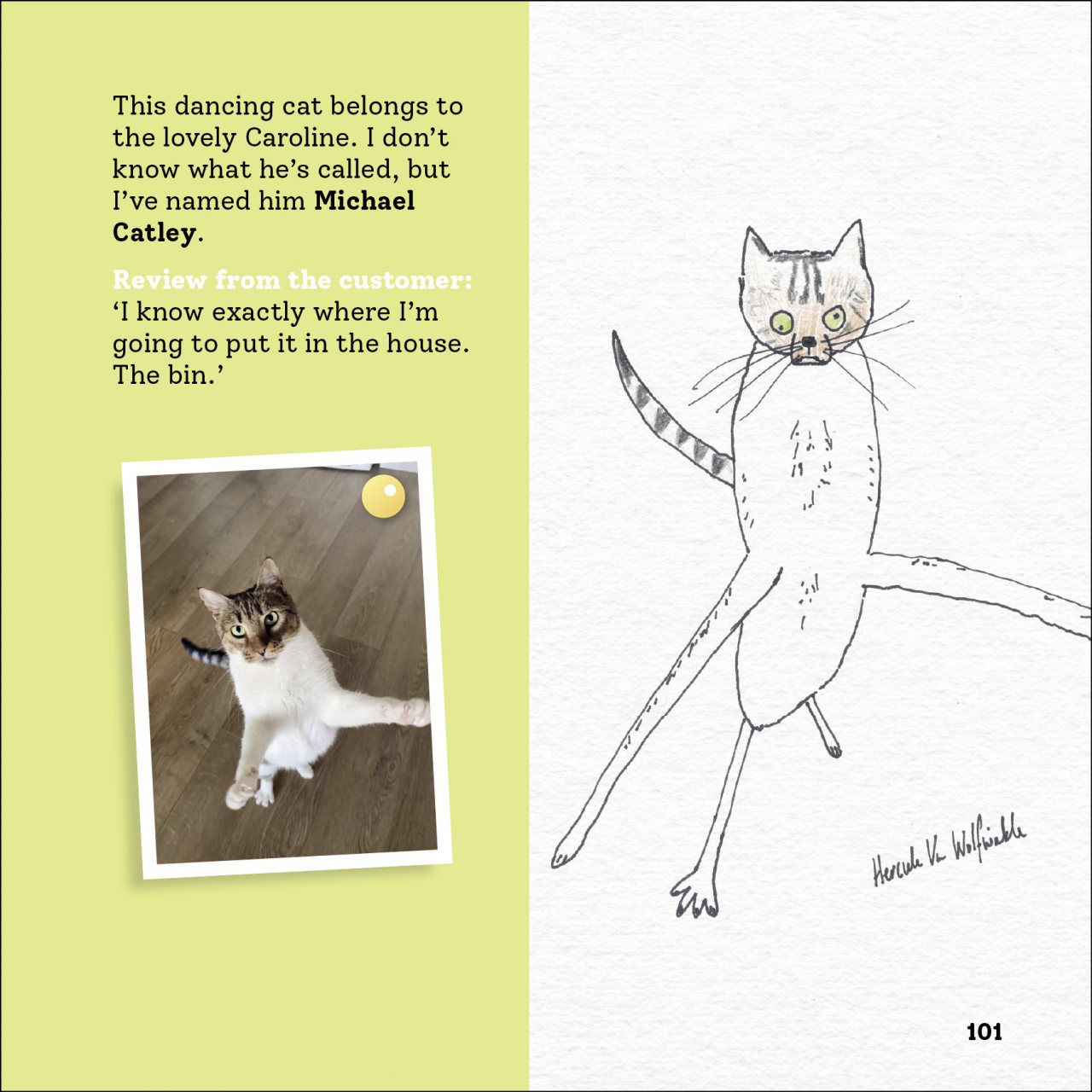 Rubbish Pet Portraits by Hercule Van Wolfwinkle Waterstones