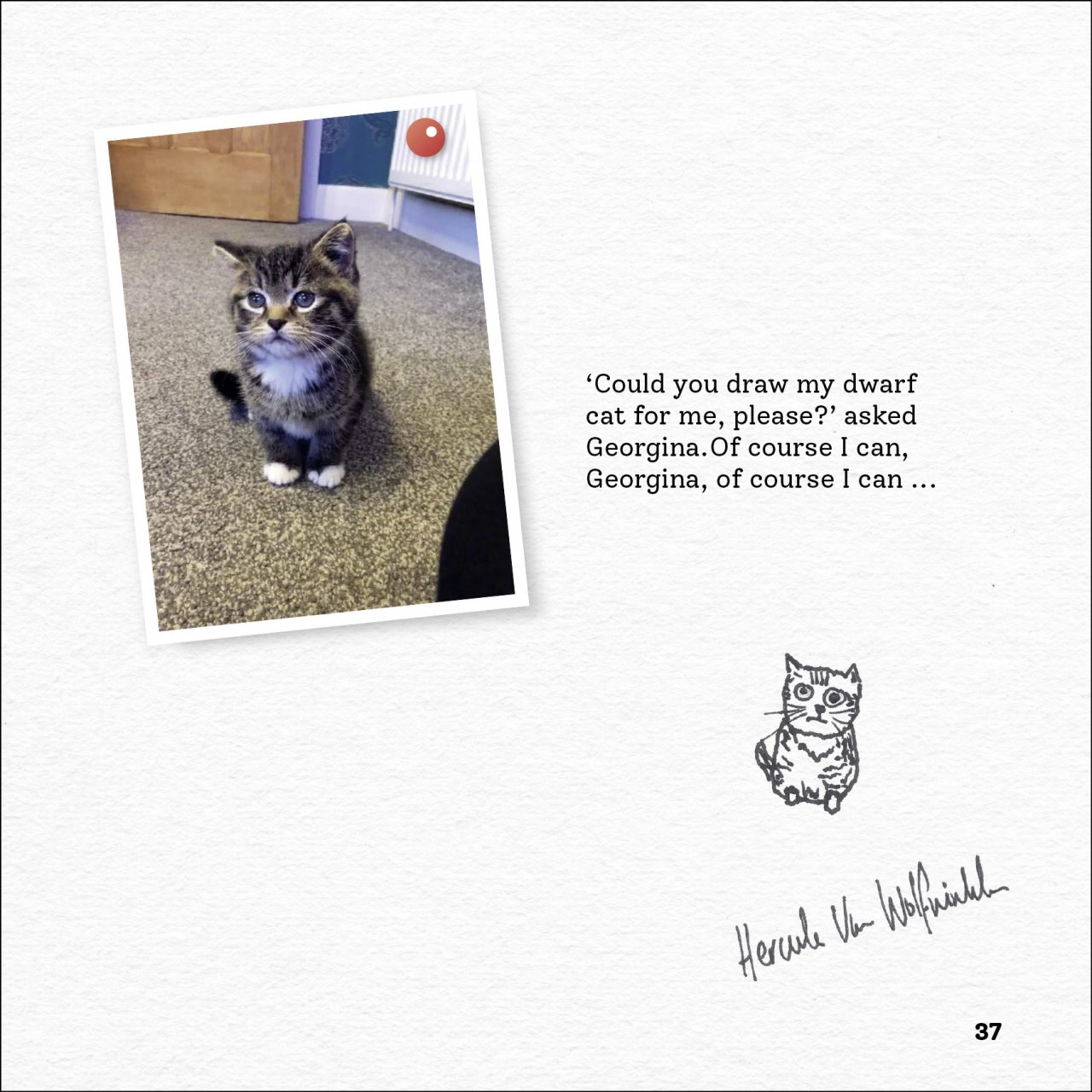 Rubbish Pet Portraits by Hercule Van Wolfwinkle Waterstones