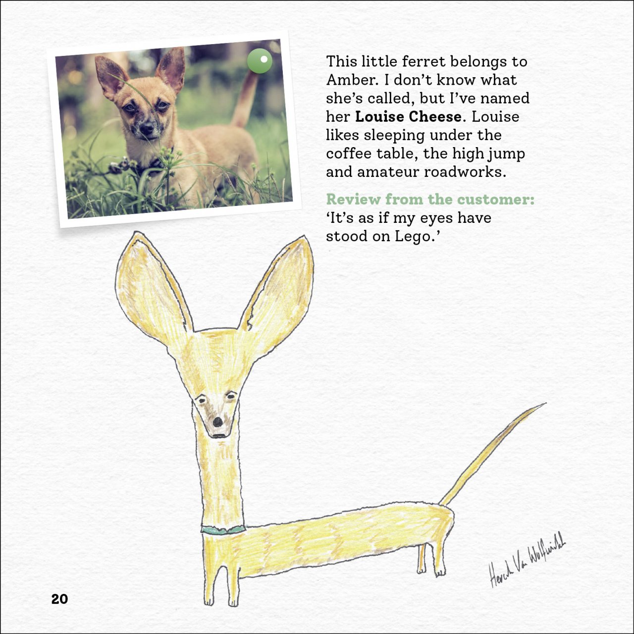 Rubbish Pet Portraits by Hercule Van Wolfwinkle Waterstones