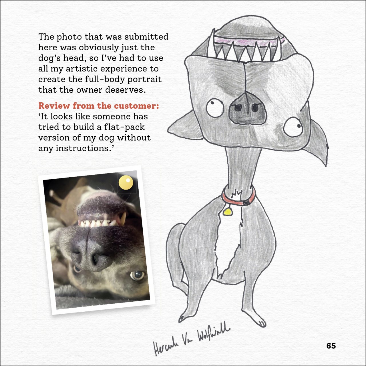 Rubbish Pet Portraits by Hercule Van Wolfwinkle Waterstones