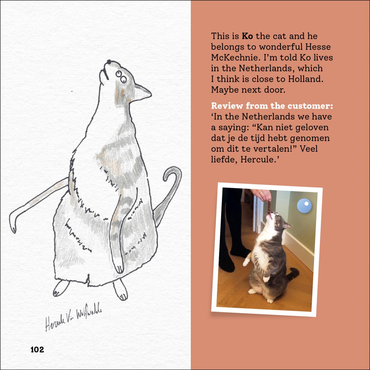 Rubbish Pet Portraits by Hercule Van Wolfwinkle Waterstones