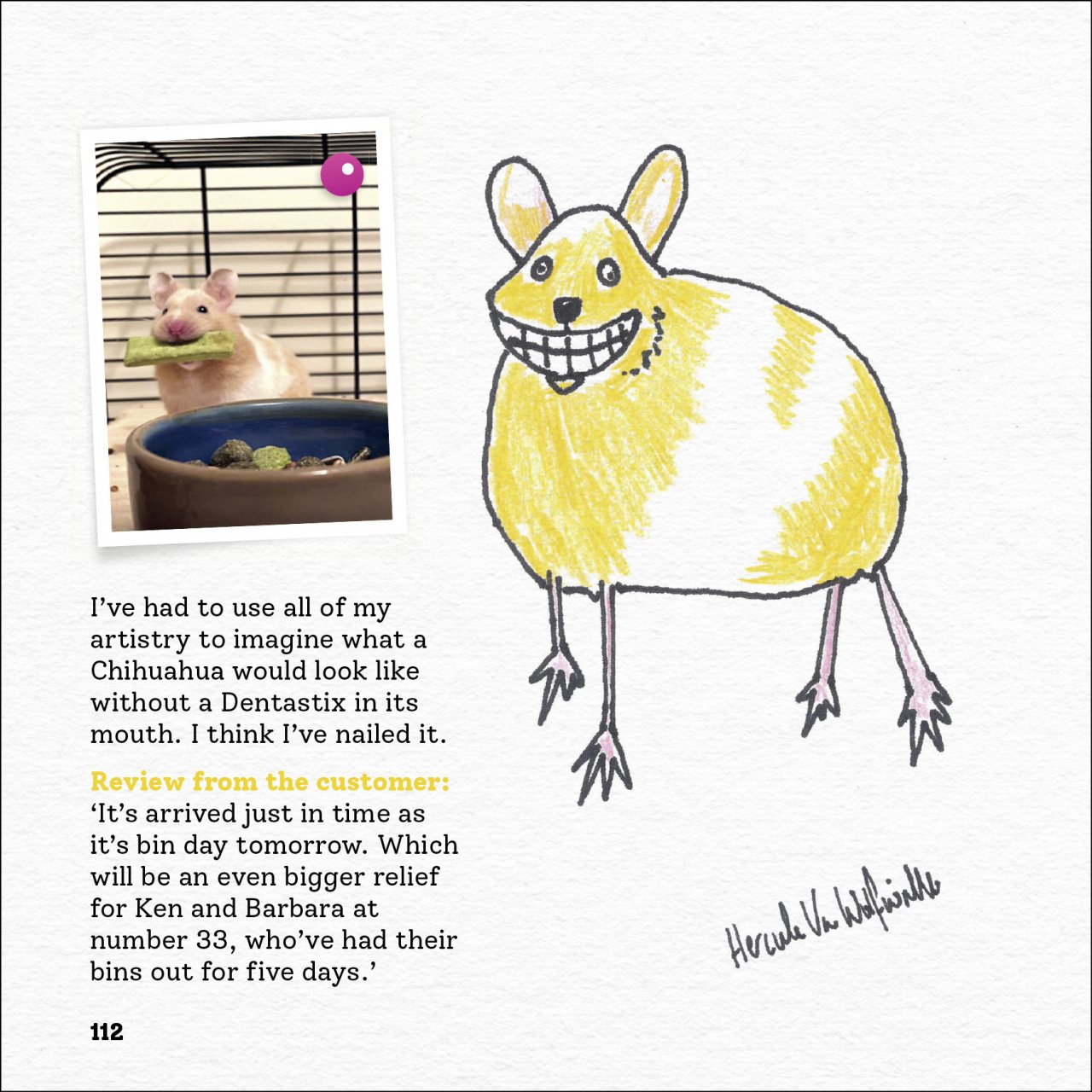 Rubbish Pet Portraits by Hercule Van Wolfwinkle Waterstones