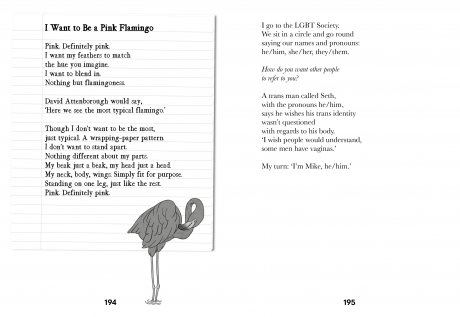 The Black Flamingo (Paperback)