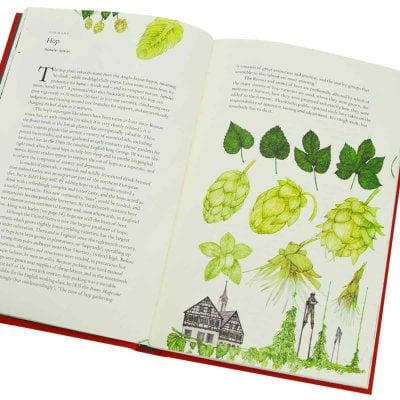 Around the World in 80 Plants (Hardback)