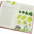 Around the World in 80 Plants (Hardback)