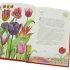 Around the World in 80 Plants (Hardback)