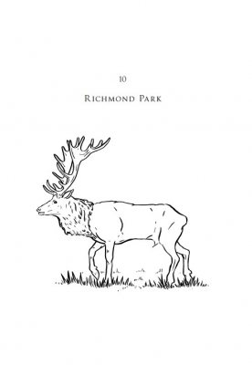 London Parks (Hardback)
