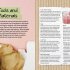 Eco Craft Book: Don't Throw it Away, Recreate & Play (Paperback)