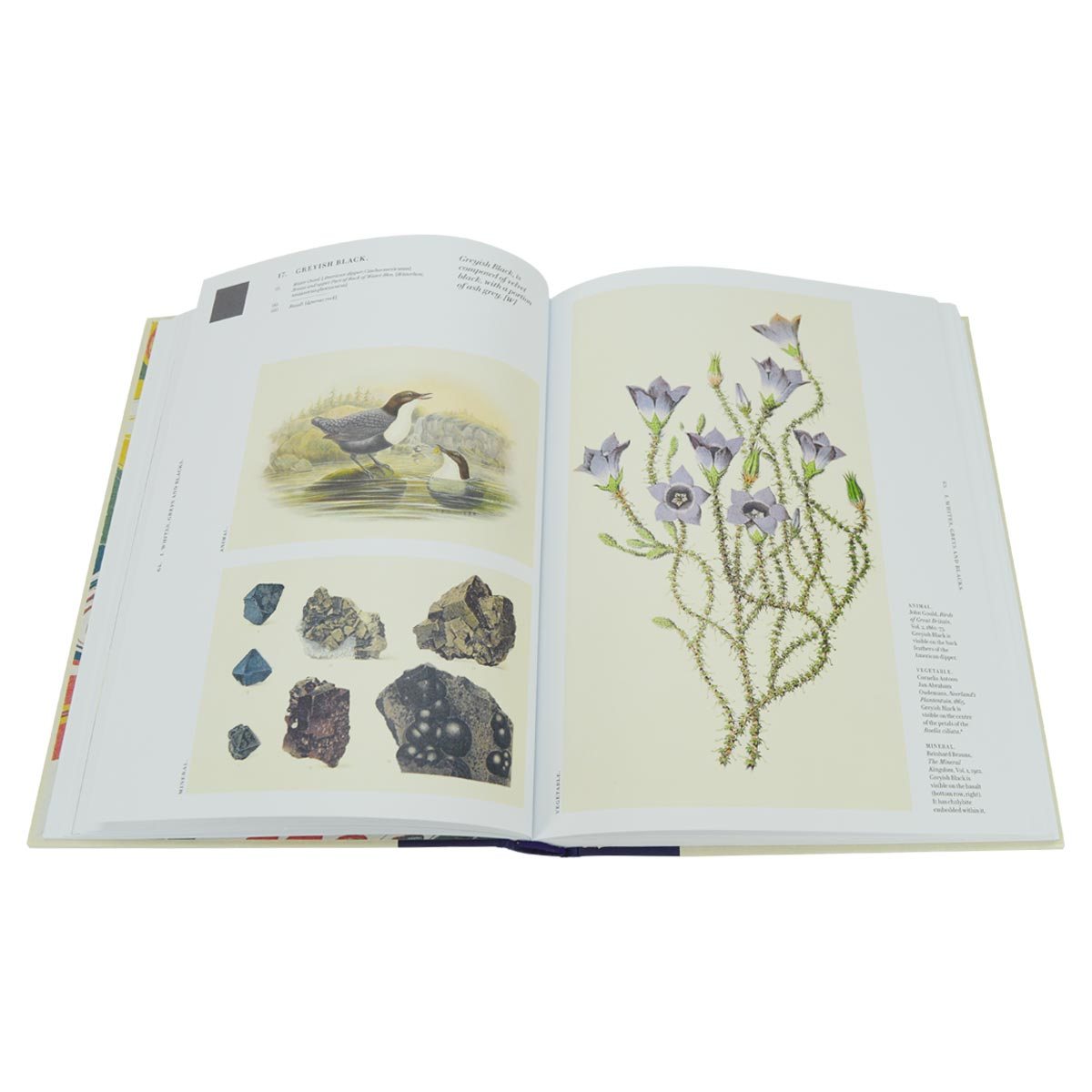 Nature's Palette by Patrick Baty, Peter Davidson | Waterstones