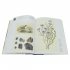 Nature's Palette: A colour reference system from the natural world (Hardback)