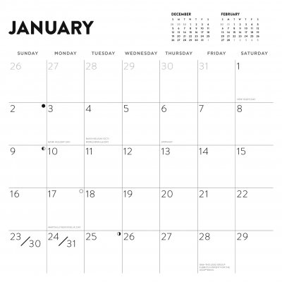 2022 LEGO (R) Wall Calendar (Calendar)