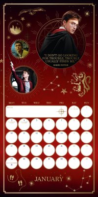 Harry Potter Wall Calendar 2022 (Calendar)
