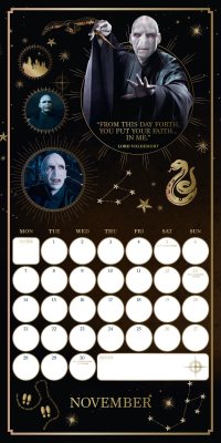 Harry Potter Wall Calendar 2022 (Calendar)