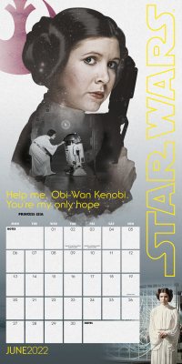Star Wars Wall Calendar 2022 (Calendar)