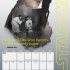Star Wars Wall Calendar 2022 (Calendar)