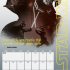 Star Wars Wall Calendar 2022 (Calendar)