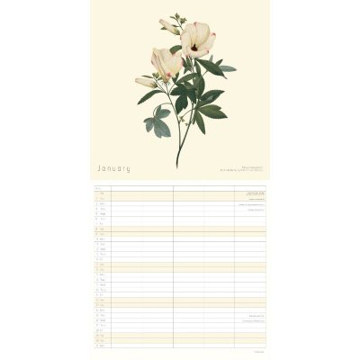 2022 Natural History Botanical Family Calendar (Calendar)