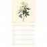2022 Natural History Botanical Family Calendar (Calendar)
