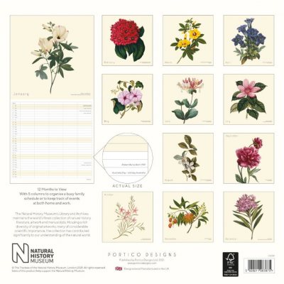 2022 Natural History Botanical Family Calendar (Calendar)