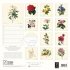 2022 Natural History Botanical Family Calendar (Calendar)