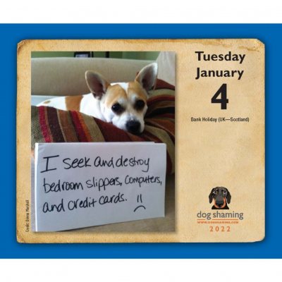 2022 Dog Shaming Boxed Calendar | Waterstones