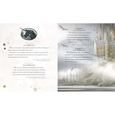 Harry Potter - A Magical Year: The Illustrations of Jim Kay (Hardback)