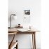 2022 B.Kilban Cat Mini Wall Calendar (Calendar)