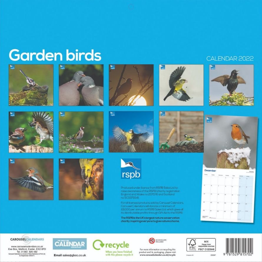 2022 RSPB Garden Birds Wall Calendar | Waterstones